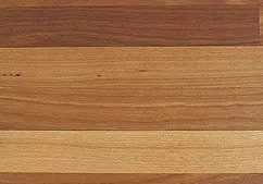 timber_spoted_gum2